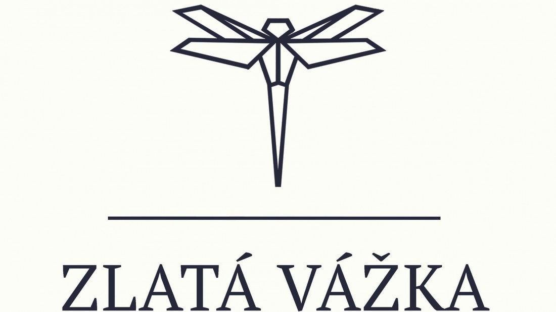 ZLATÁ VÁŽKA – OCEŇUJEME SOCIÁLNÍHO PODNIKÁNÍ
